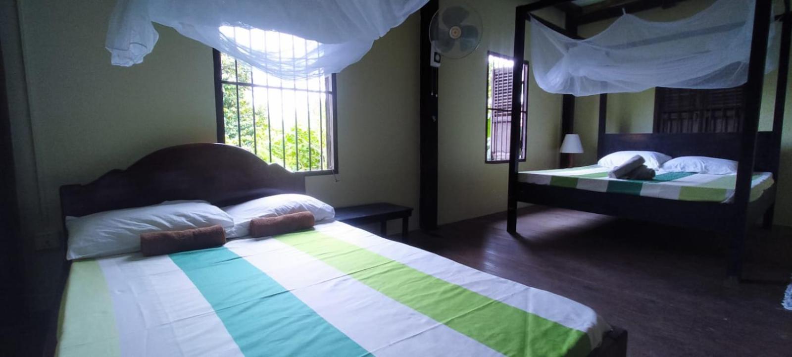O'Hamok Family Homestay Battambang Oda fotoğraf