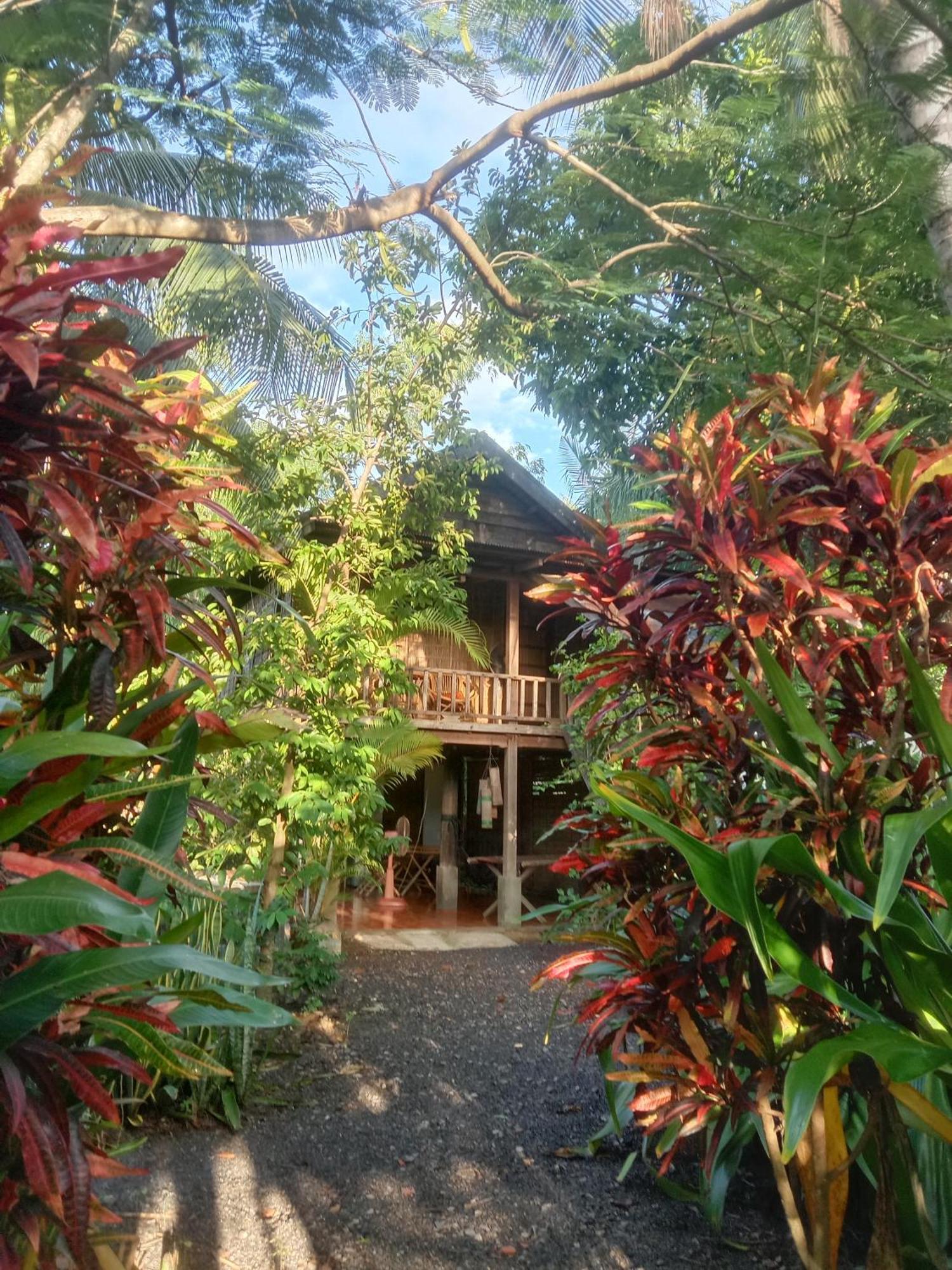 O'Hamok Family Homestay Battambang Dış mekan fotoğraf